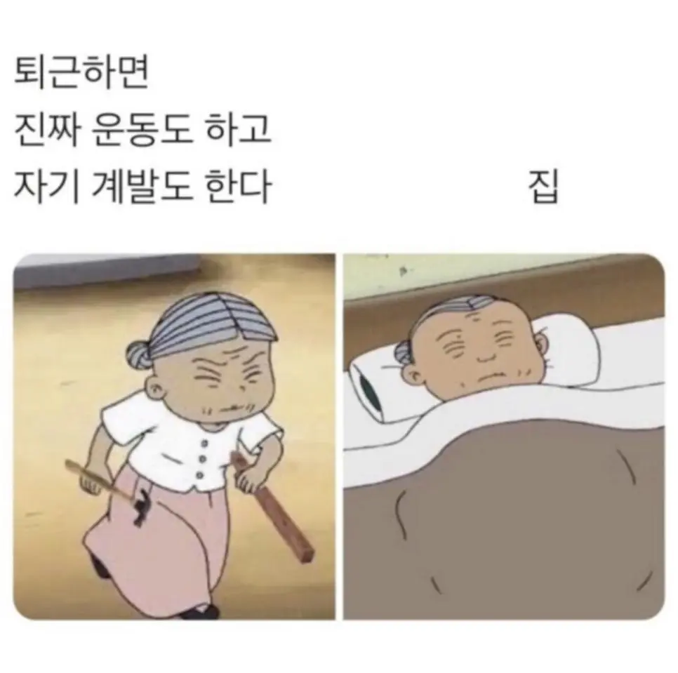 생각과 현실