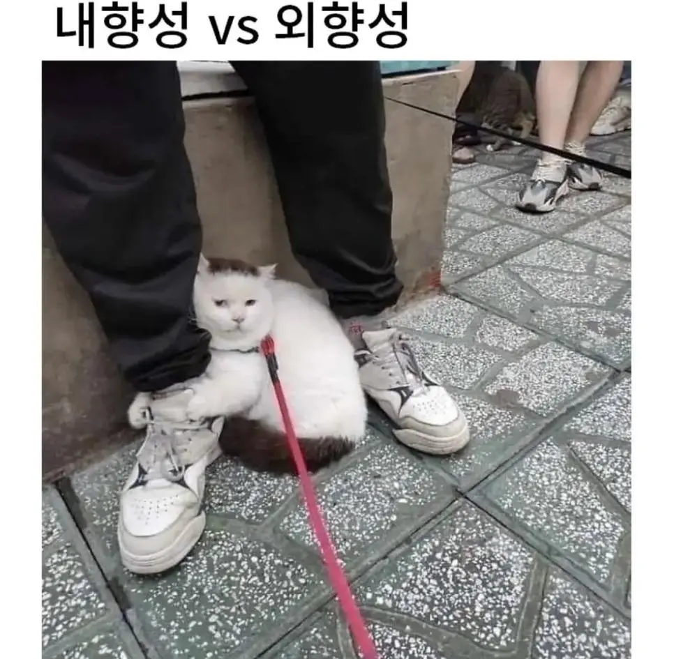 [동물] 	        내향성 vs 외향성