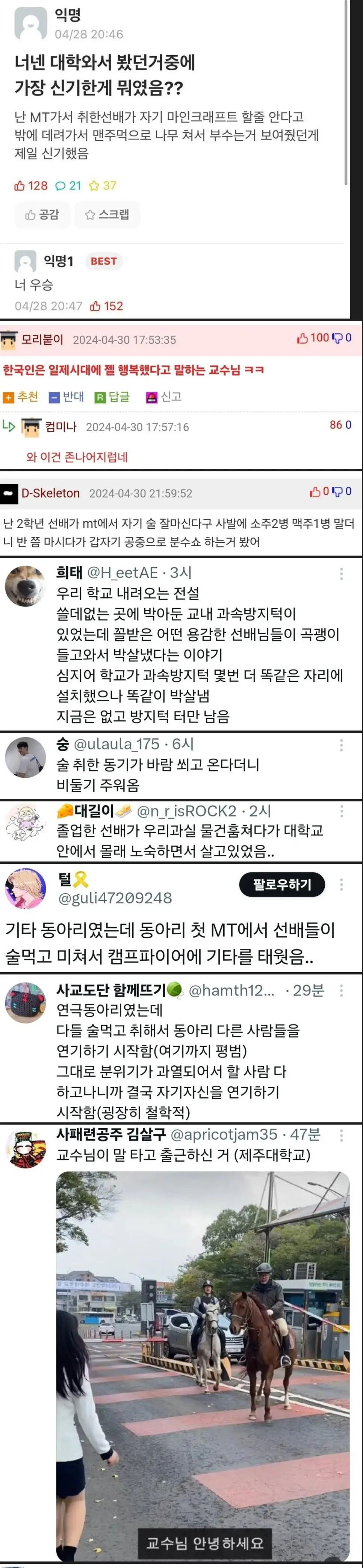 대학에 와서 봤던 거 중 가장 신기한 것