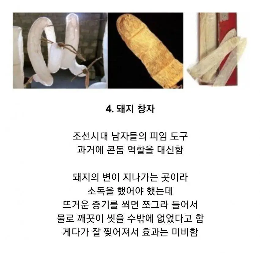 조선시대의 콘돔