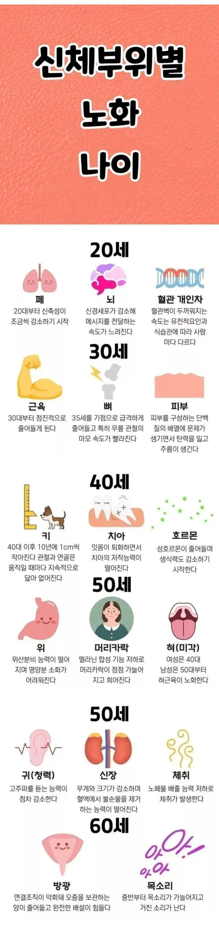 신체 부위별 노화 나이