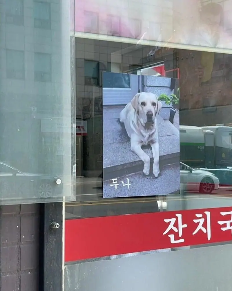 다짜고짜 자기 강아지 자랑하는 사장들