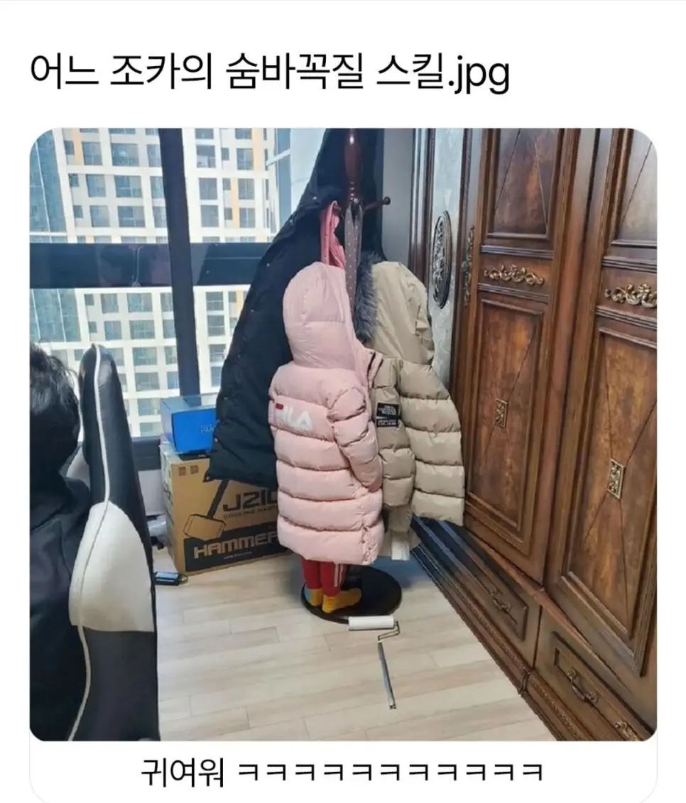 조카의 숨바꼭질 스킬이 훌륭하다.jpg