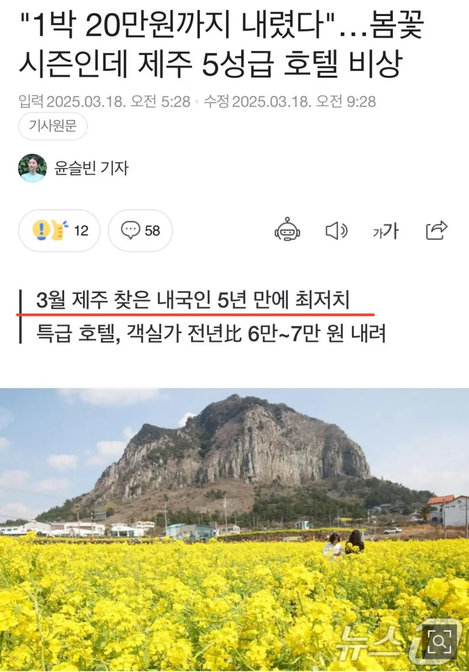 제주도 국내관광사업 근황