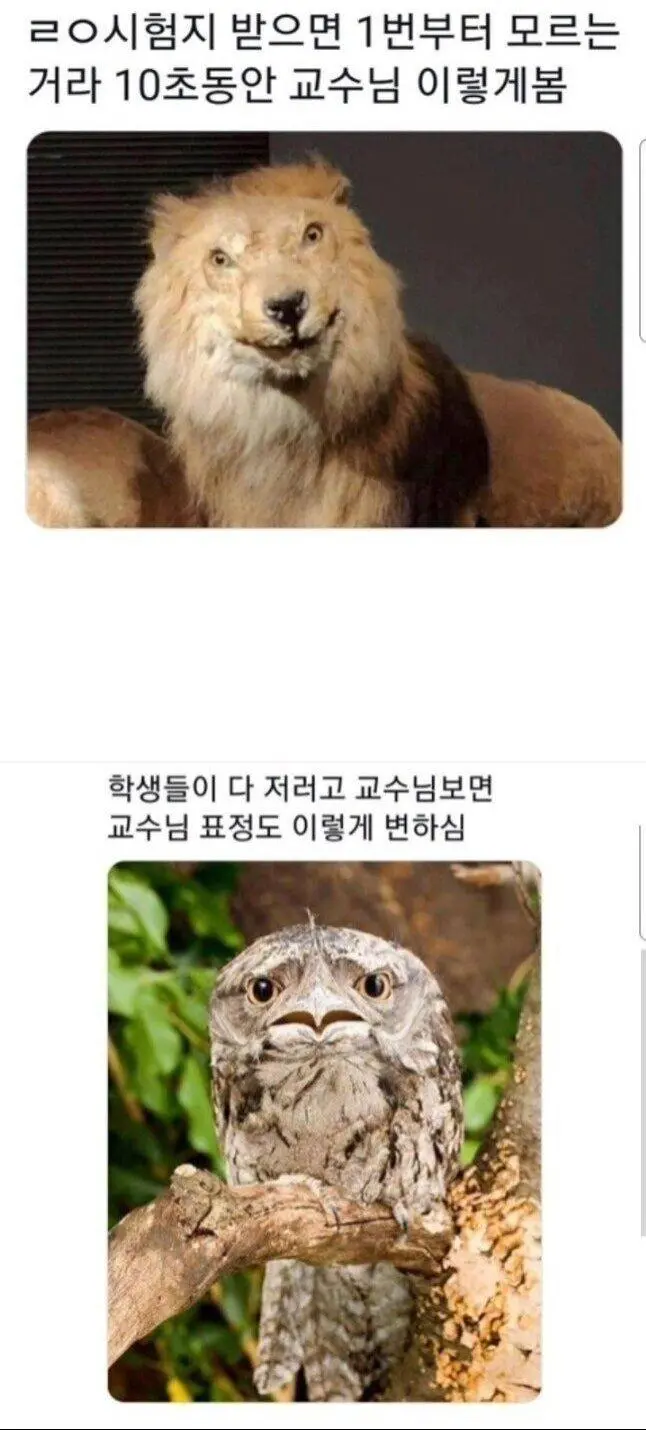 대학교 시험시간 특징