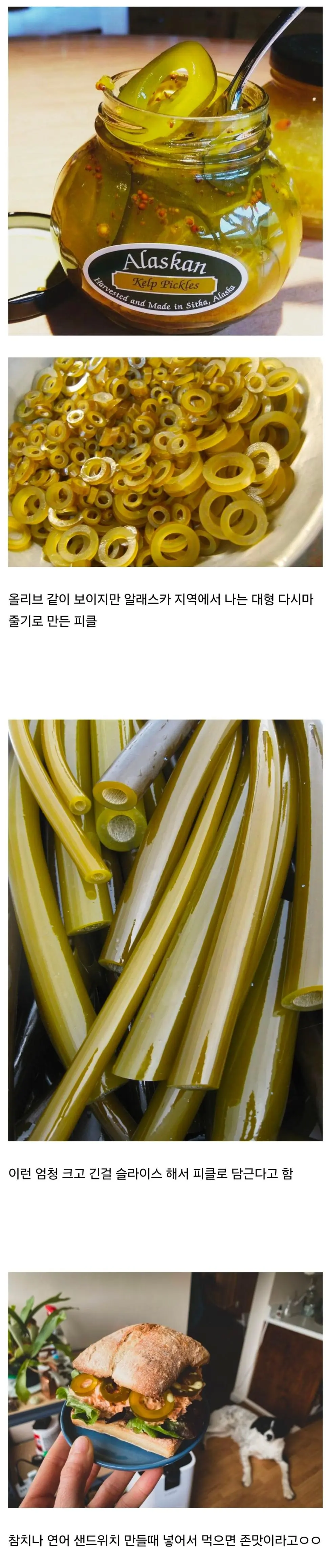 한국에서는 보기 힘든 피클.jpg