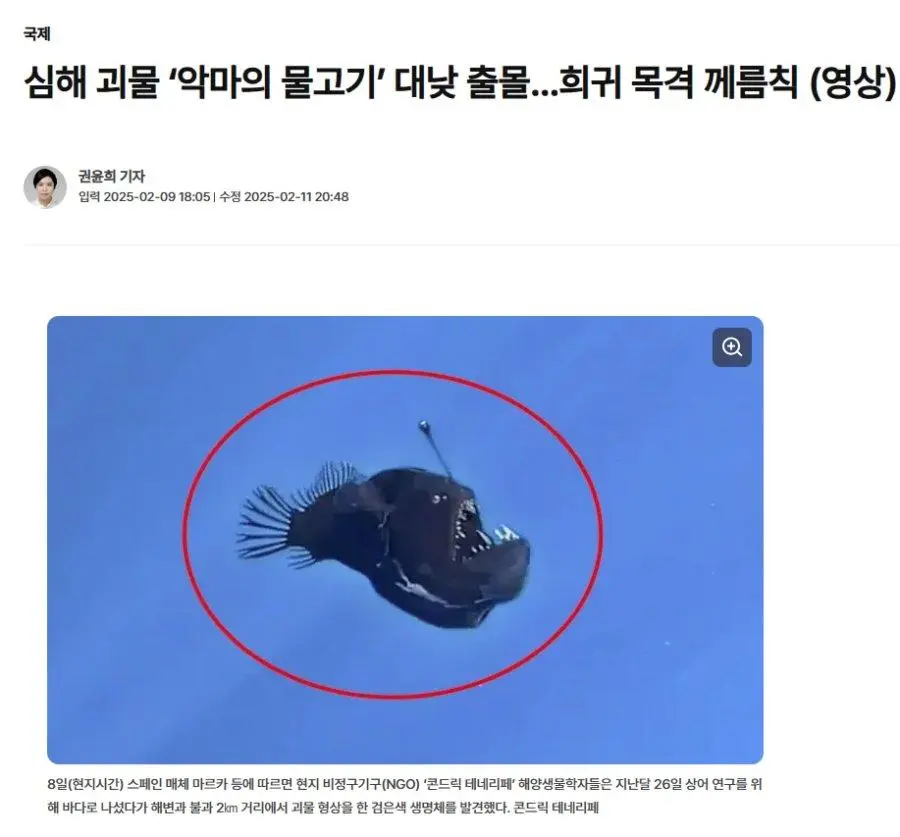 악마의물고기라는 심해어 크기.jpg