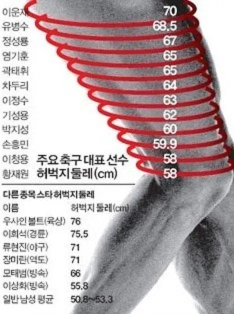 운동선수들의허벅지둘레