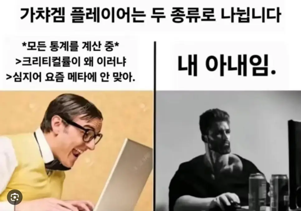 가챠겜 플레이어의 두가지 유형