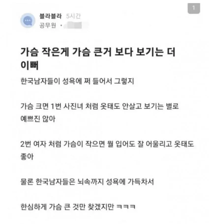 가슴 큰것보다 작은게 더 이쁘다는 블라녀.jpg