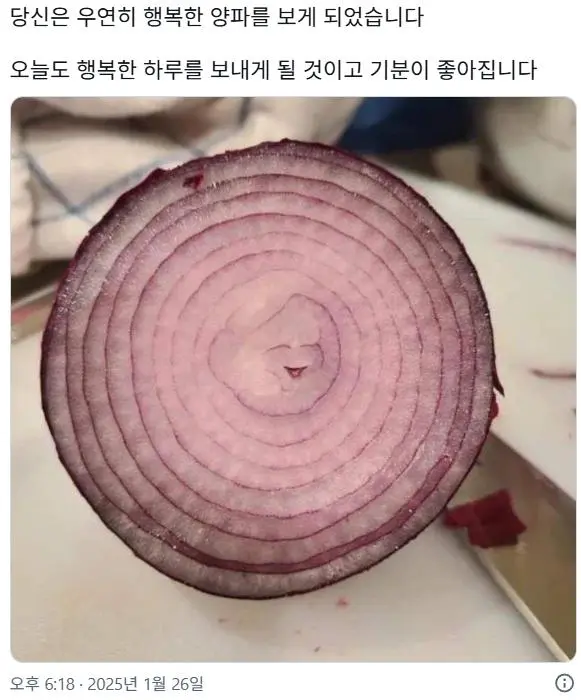 행복한 양파