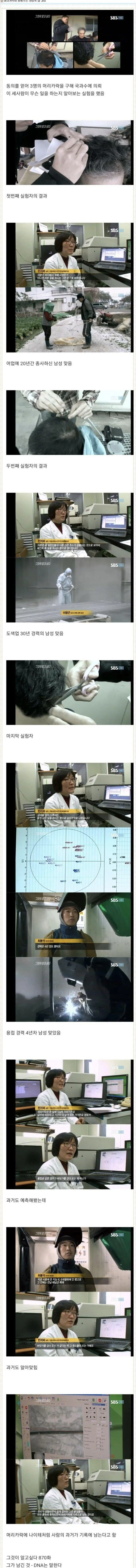 머리카락이 말해주는 사람의 과거