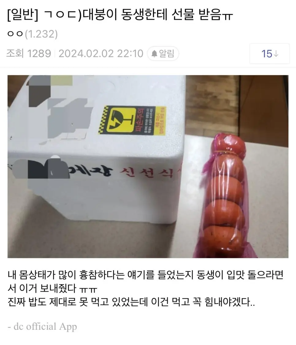 동생에게 선물을 받은 디시인