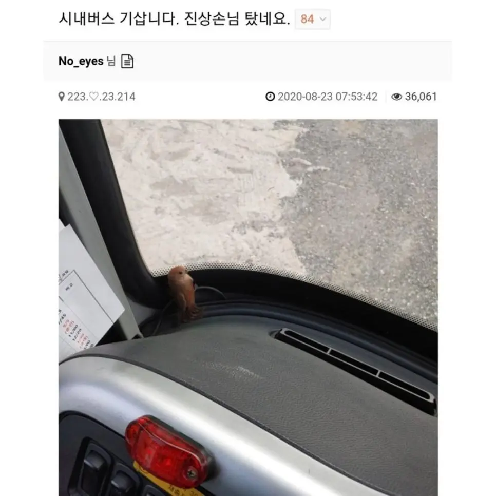 시내버스 기삽니다 진상탓네요