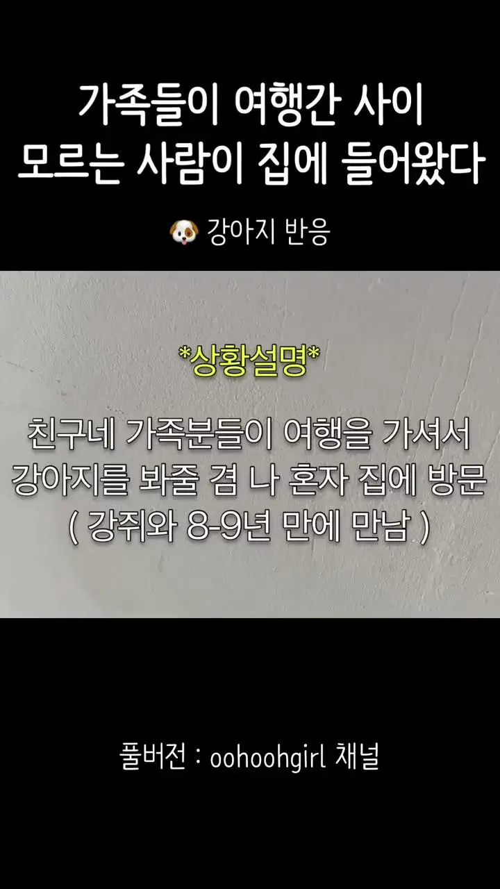 모르는 사람이 집에 들어왔을때 강아지 반응