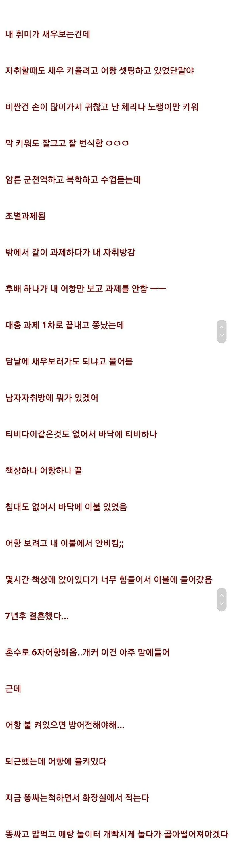 남자 자취방에 어항을 두면 위험한 이유