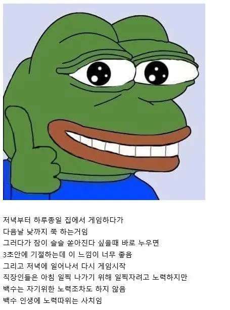 백수 인생의 하루 패턴.txt