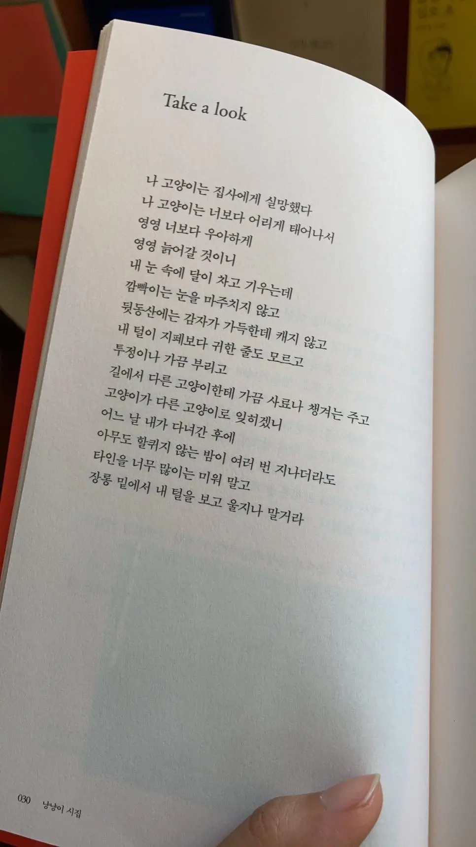 나 고양이는 집사에게 실망했다.