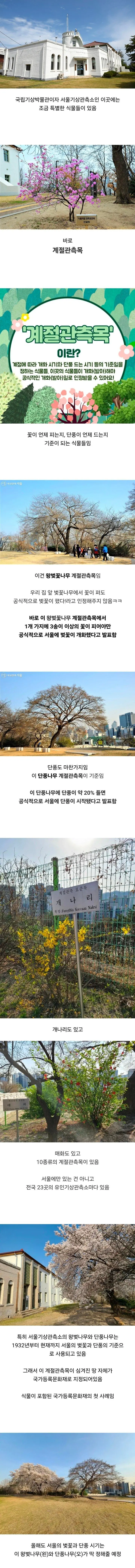 조금 특별한 식물이 있는 서울기상관측소