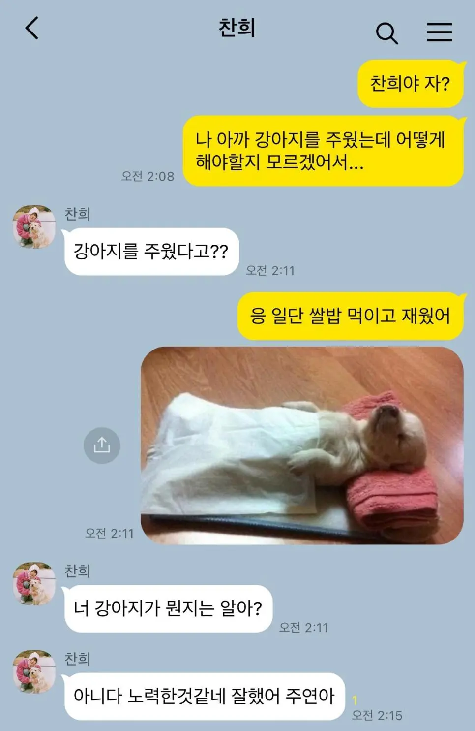 길강아지 주워서 재운 사람