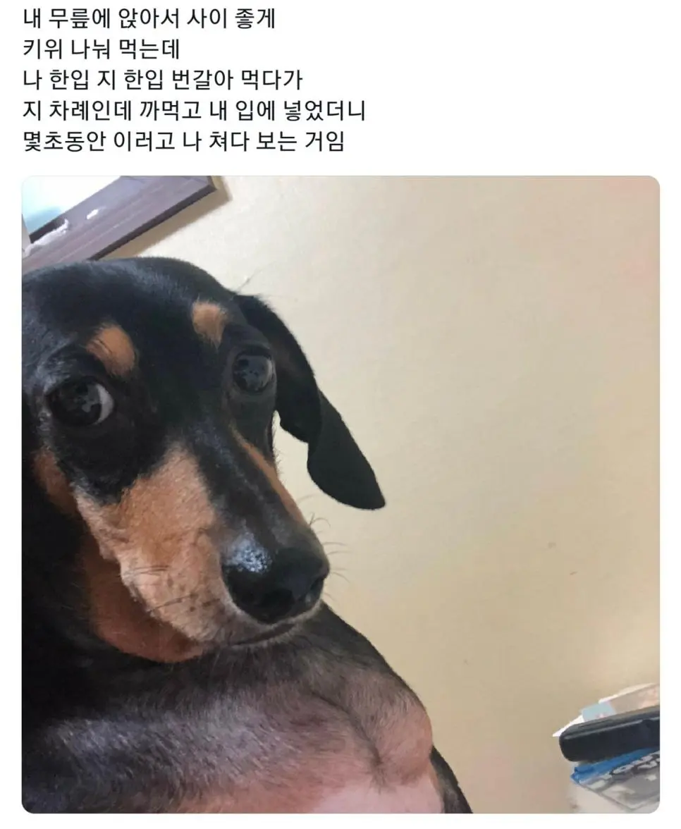 와;; 주인아 존나 섭섭하다