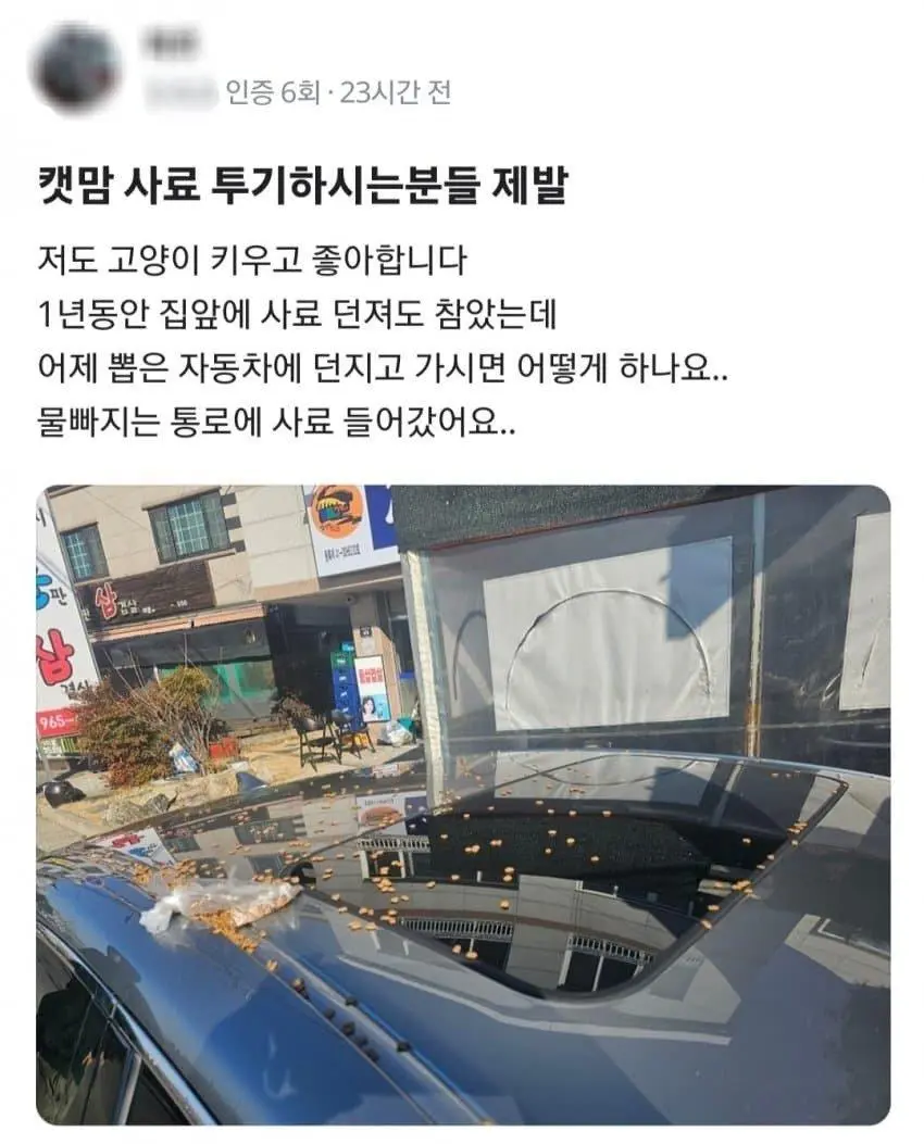 캣맘의 새로운 사료 주는 방법 ㅋㅋㅋㅋㅋ