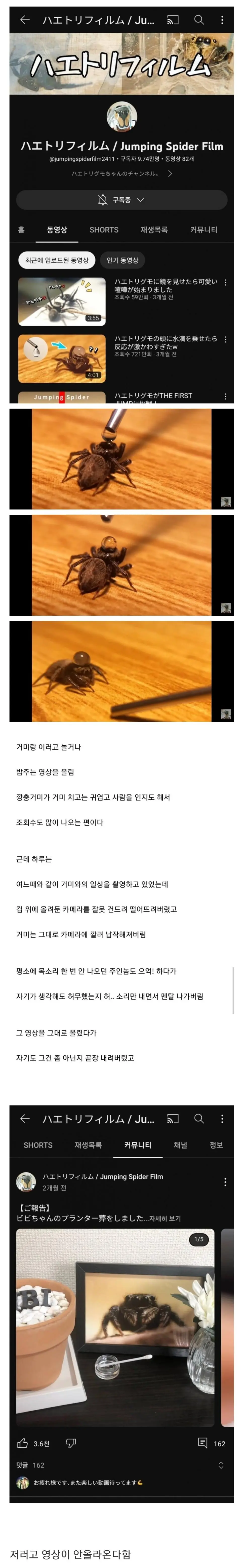 거미를 어이없게 죽여버린 일본의 거미 유튜버