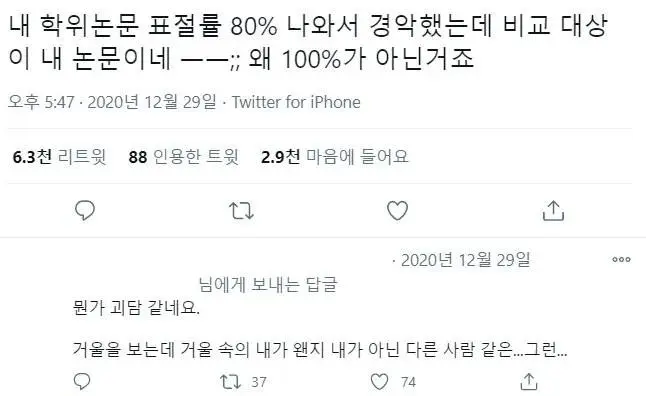 표절률 80%의 논문　jpg