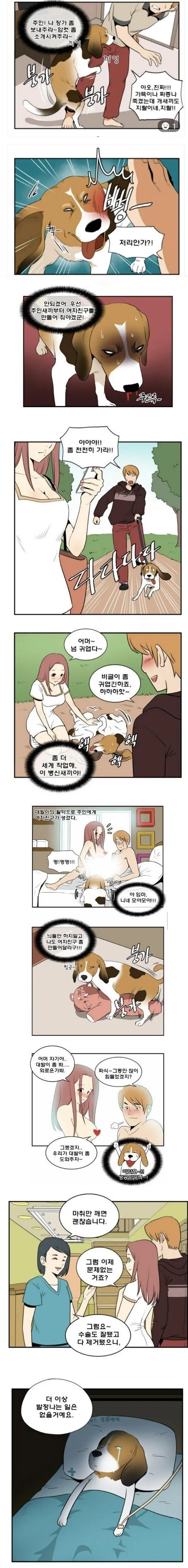 여친 만들어준 비글의 최후 ㄷㄷㄷ