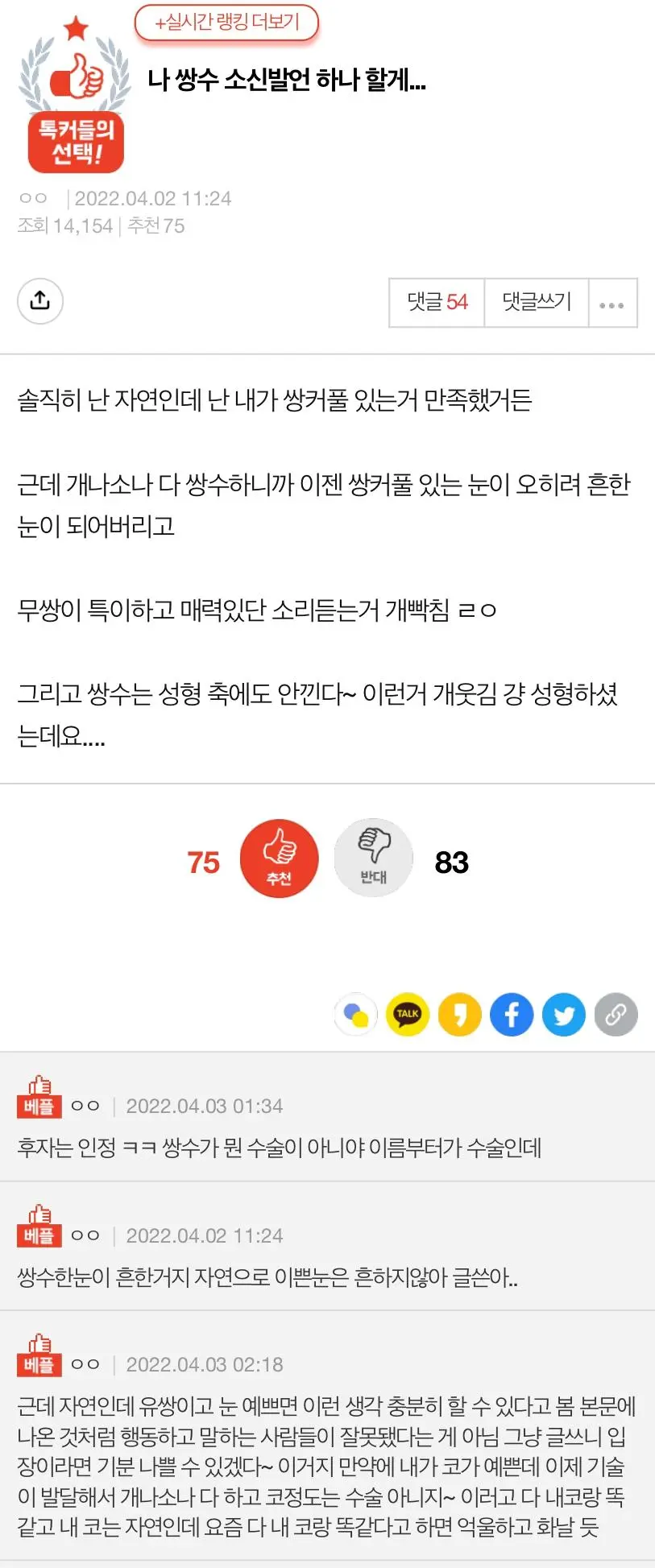 쌍수에 대한 소신발언하는 판녀.jpg