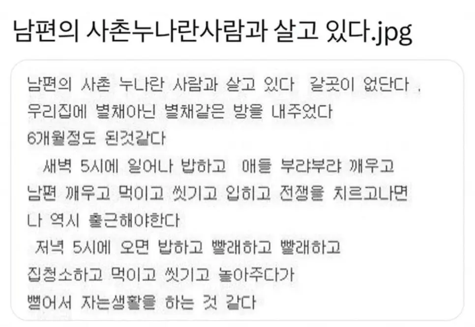 [유머] 	        남편의 사촌누나란 사람과 살고 있다.JPG