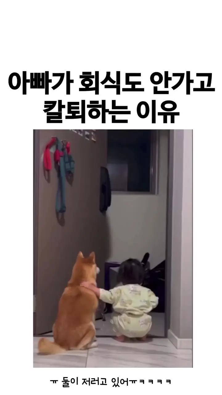 아빠가 회식도 안가고 칼퇴하는 이유