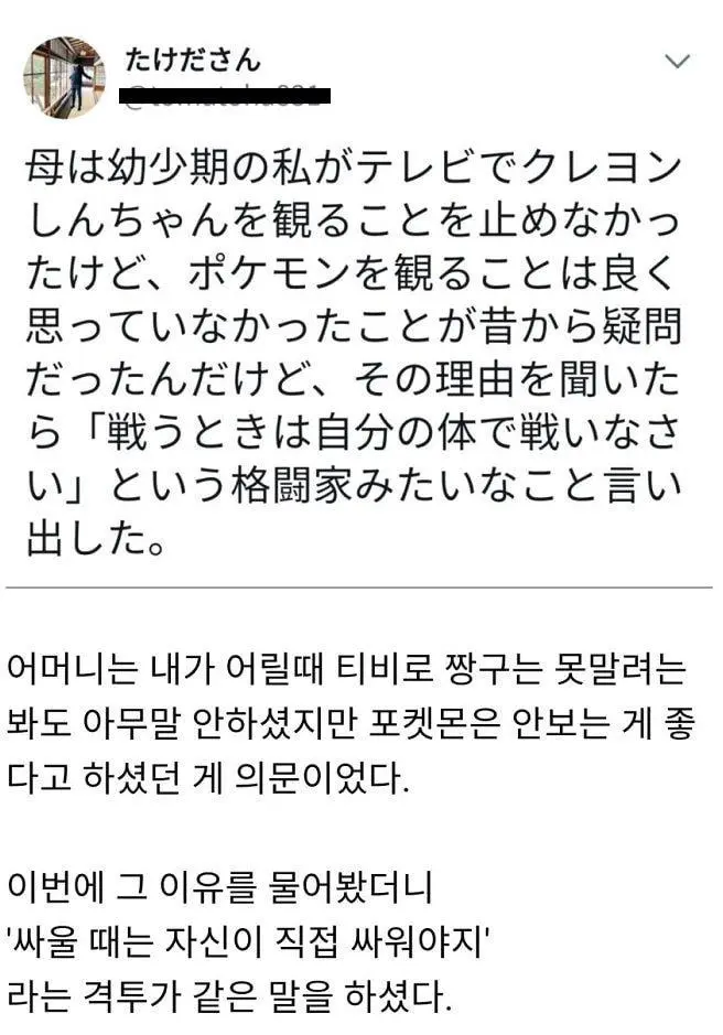 어머니가 포켓몬을 보지 말라고 한 이유 