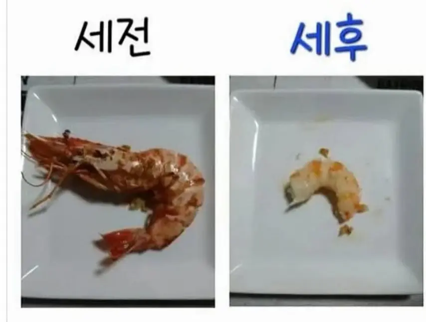 월급 세전 세후