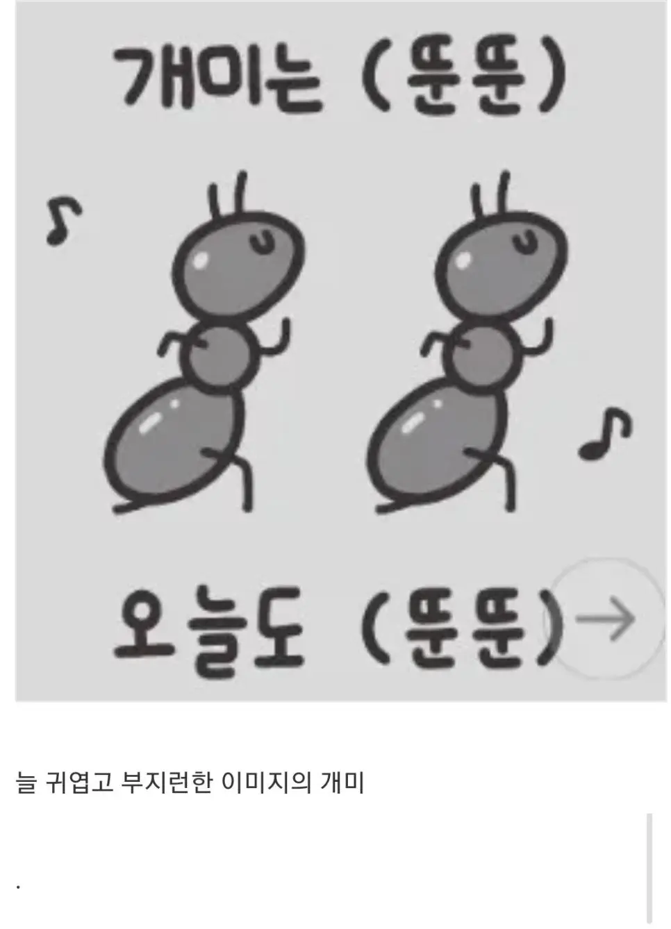 현미경 5배 확대한 실제 개미 얼굴