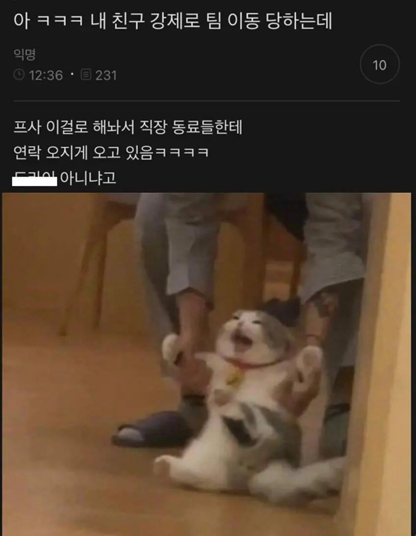 강제 팀이동 당하는 친구 프사.jpg