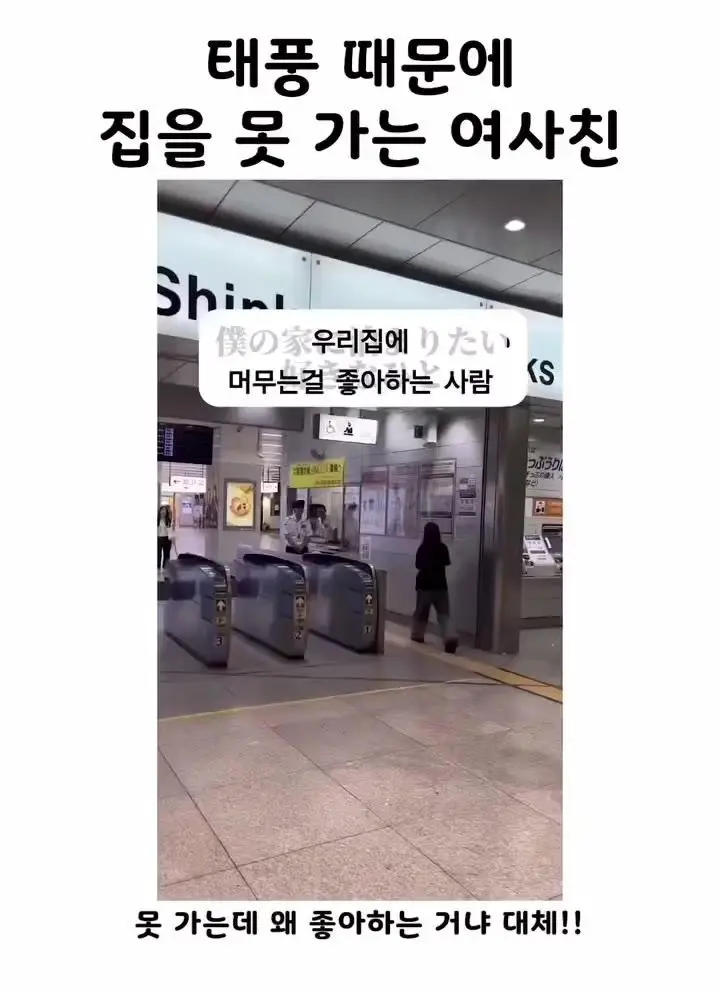 태풍 때문에 집에 못 간다는 일본인 여사친