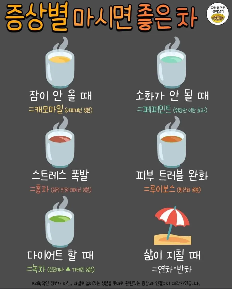 증상별 마시면 좋은 차