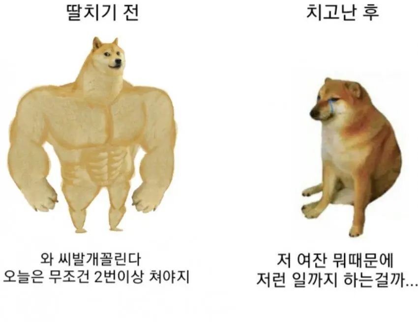 딸 치기 전과 후 반응 ㅋㅋㅋㅋ ..jpg