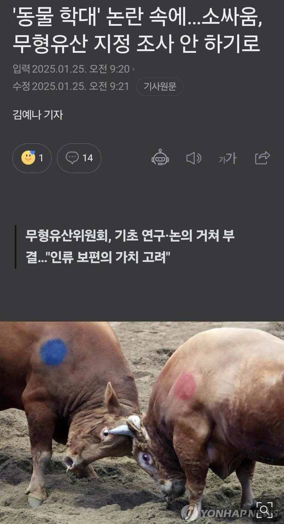 동물단체 반발... 소싸움 문화재지정 취소