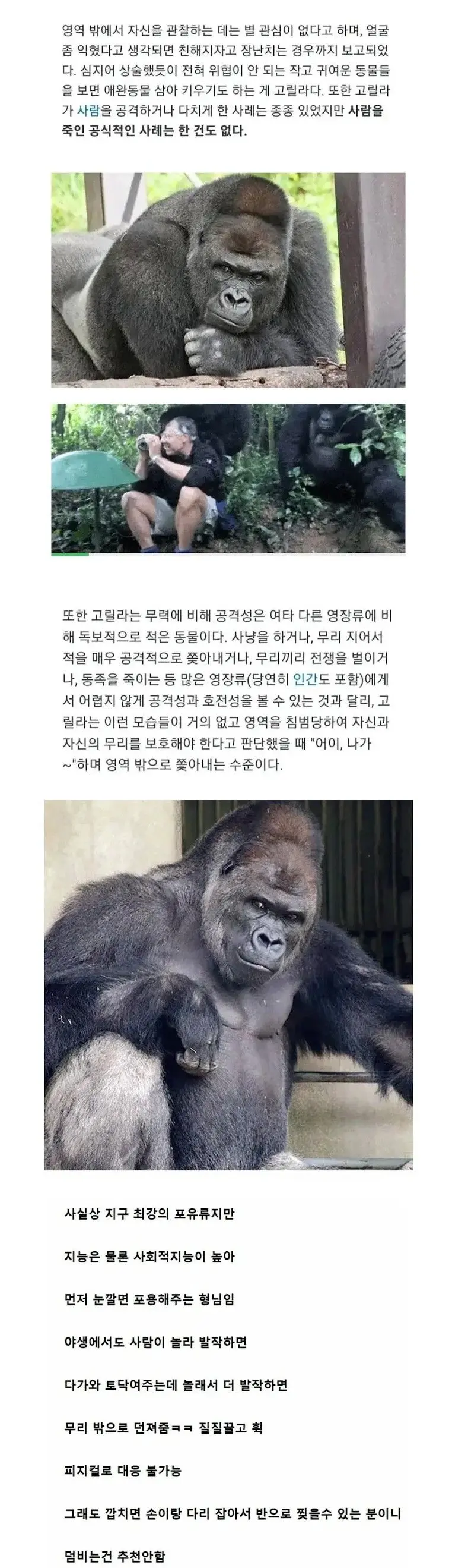 엄청 강하지만 위험하지 않다는 동물