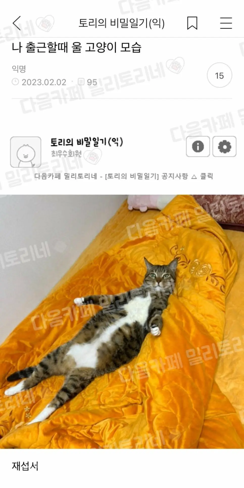 캔따개 출근할 때 고양이 모습.jpg