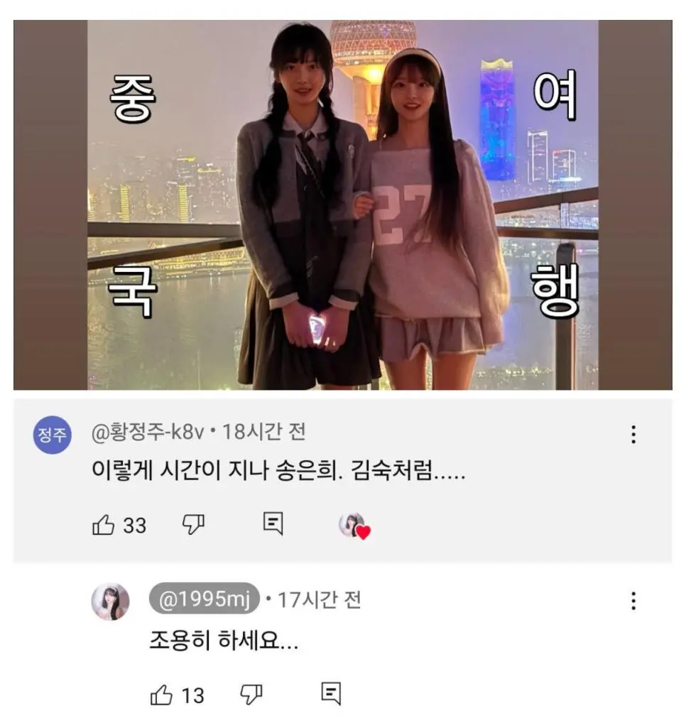 [유머] 	        박민정,고말숙 여행 브이로그 댓글.jpg