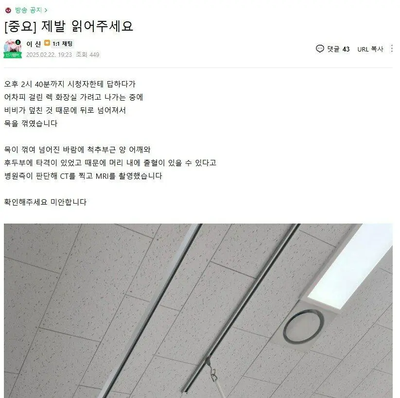 버튜버 휴방 이유