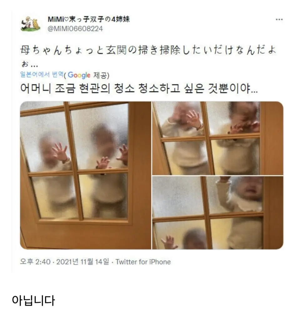 아가들과 생이별.jpg