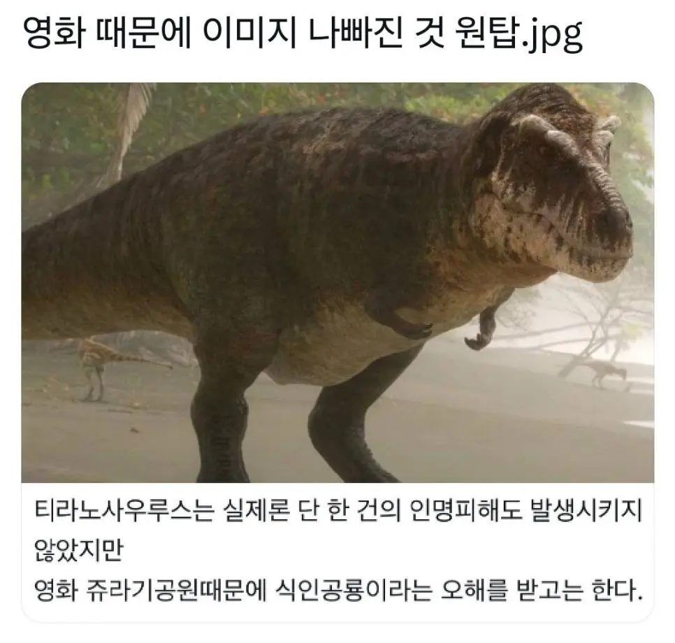 영화 때문에 이미지 나빠진 동물