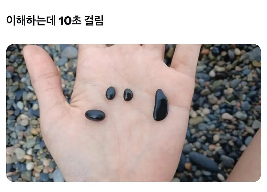 당신은 이 사진을 이해할 수 있습니까?