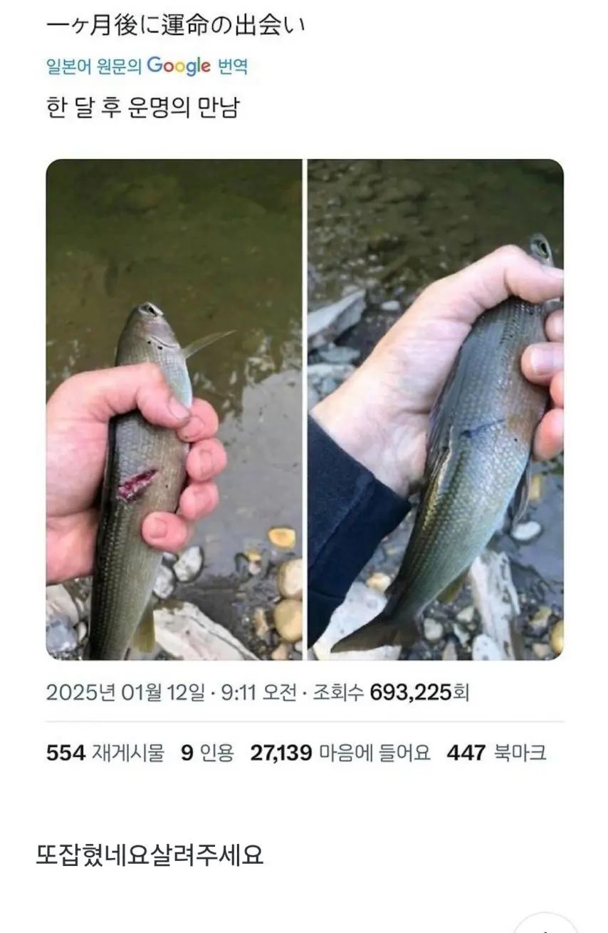 저는 한달 전 당신이 살려준 물고기입니다