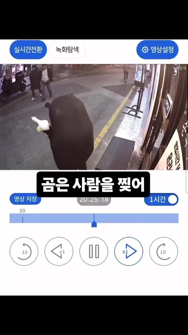 인형알바한테 시비 걸었다가...gif