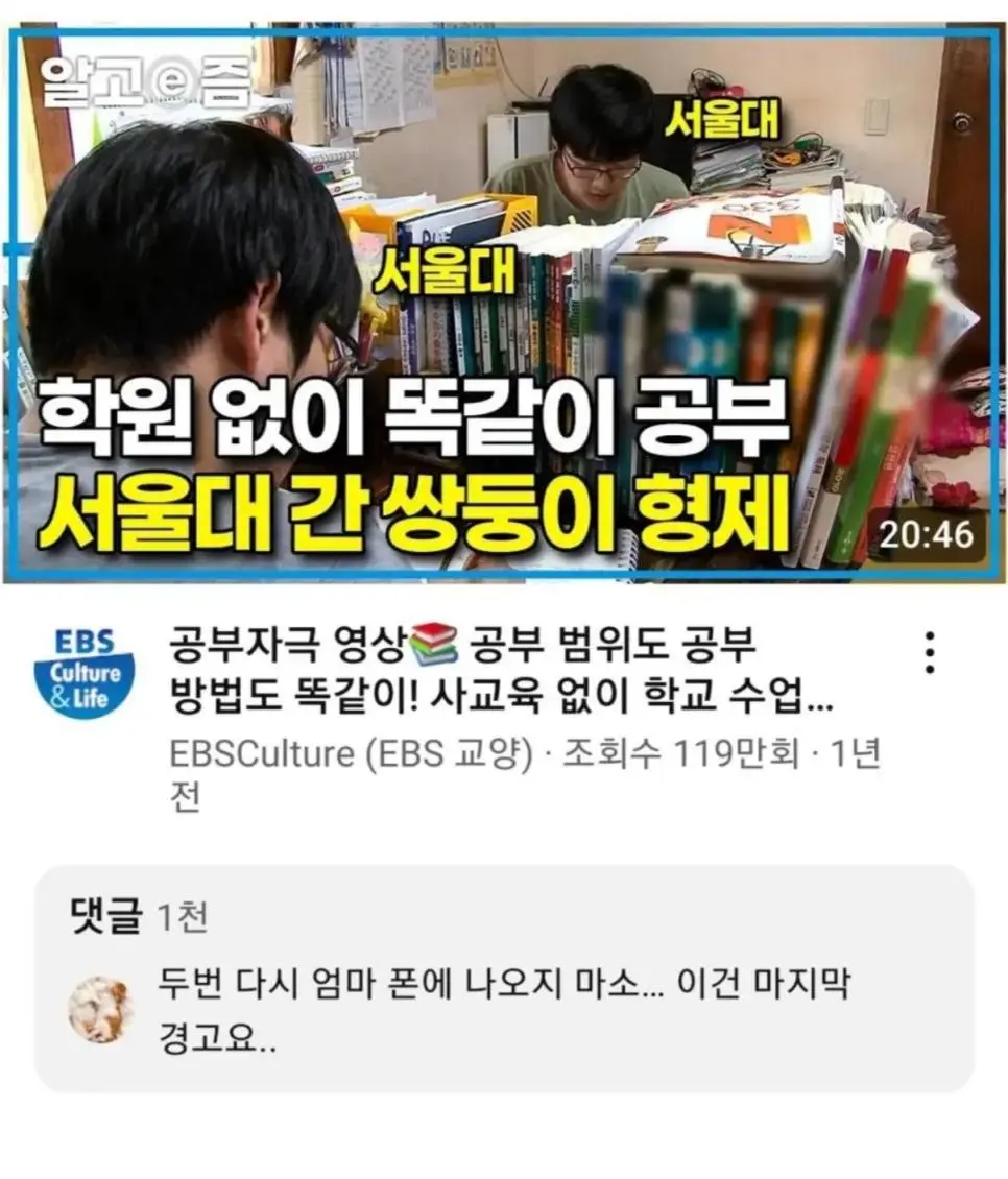 학원 없이 서울대 간 쌍둥이들을 향한 경고.jpg